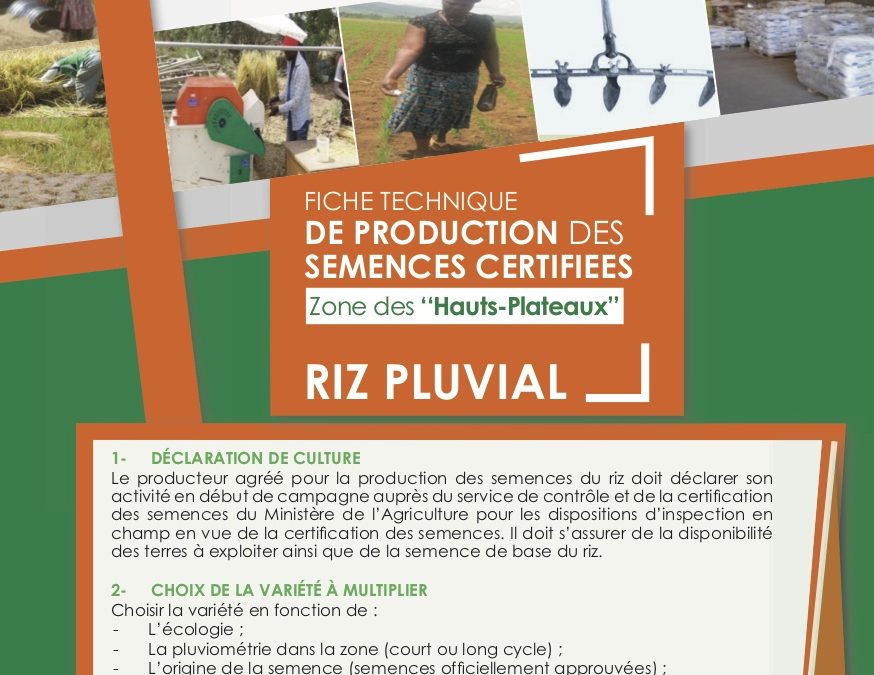 Fiche technique de production des semences certifiées