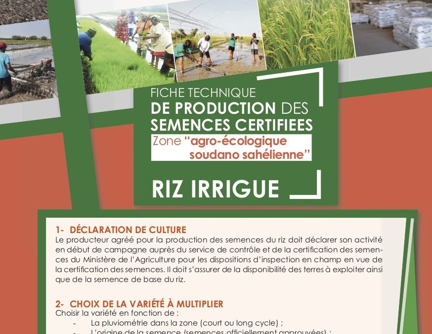 Fiche technique de production des semences certifiées